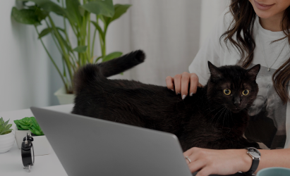 Entrena a tu gato con los mejores artículos de marcotas.