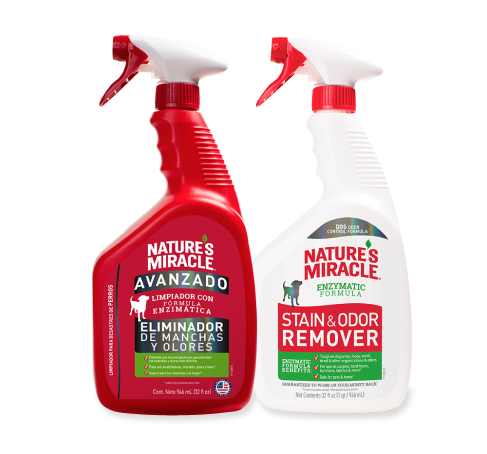 Conoce los productos para manchas y olores de perro de Nature's Miracle