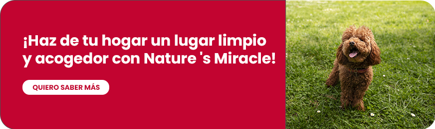 Mantén tu hogar limpio de una forma sencilla con Nature's Miracle