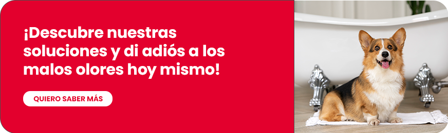 Encuentra las mejores soluciones para evitar las manchas y olores a pipí en tu hogar