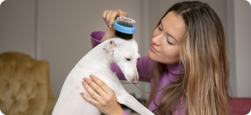 Dueña cepillando a su perro