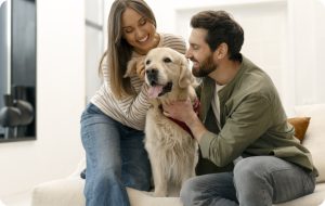 ¿Cómo educar a un perro adoptado?