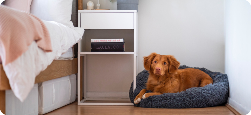 Perro acostado en su cama