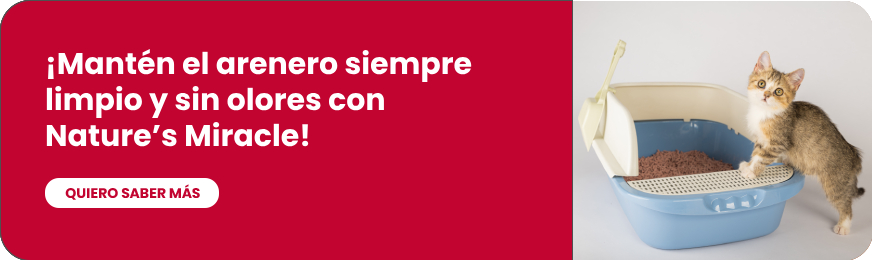 ¡Conoce toda nuestra línea de productos para gatos!