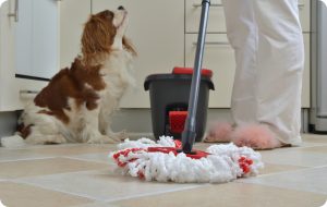 Conoce el mejor líquido para limpiar pisos en hogares con mascotas
