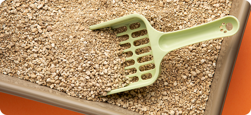 Qué arena es mejor para gatos con recogedor de popo Qué arena es mejor para gatos con recogedor de popo