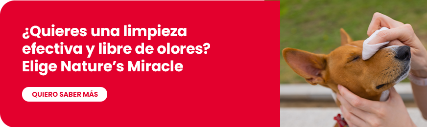 Conoce más cuidados básicos de un perro con Nature's Miracle Conoce más cuidados básicos de un perro con Nature's Miracle