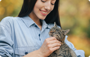 Respuesta a la pregunta ¿qué necesito para adoptar un gato?
